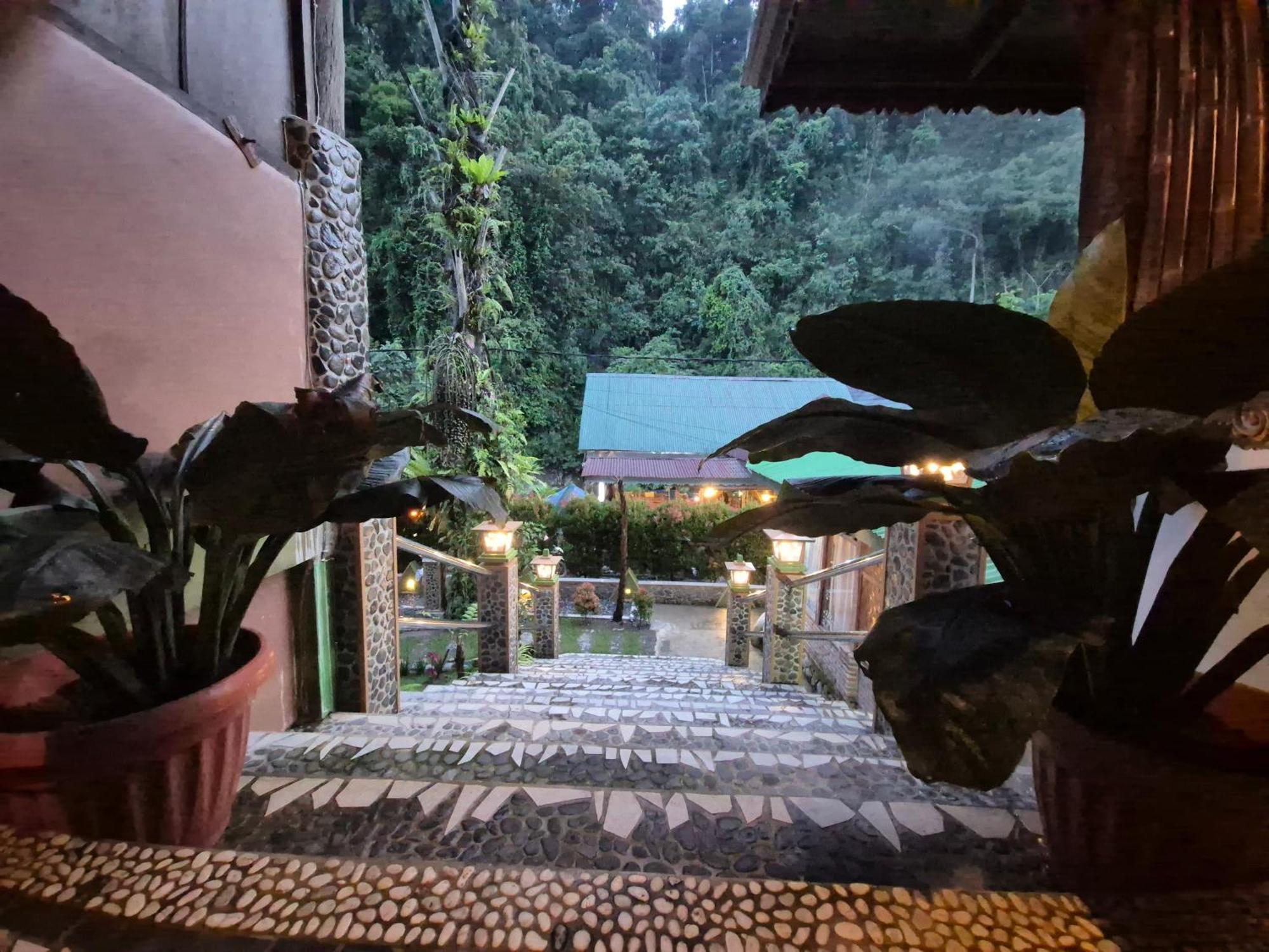 Sam'S Bungalows And Treks 부킷 라왕 외부 사진